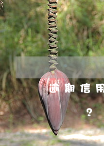 逾期信用卡：還款后多久恢復(fù)征信？會否因此坐牢？